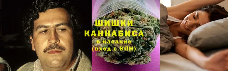 Бошки Шишки THC 21%  MEGA   Тарко-Сале 